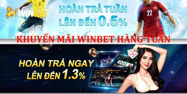 Tổng hợp các chương trình khuyến mãi winbet hot nhất 